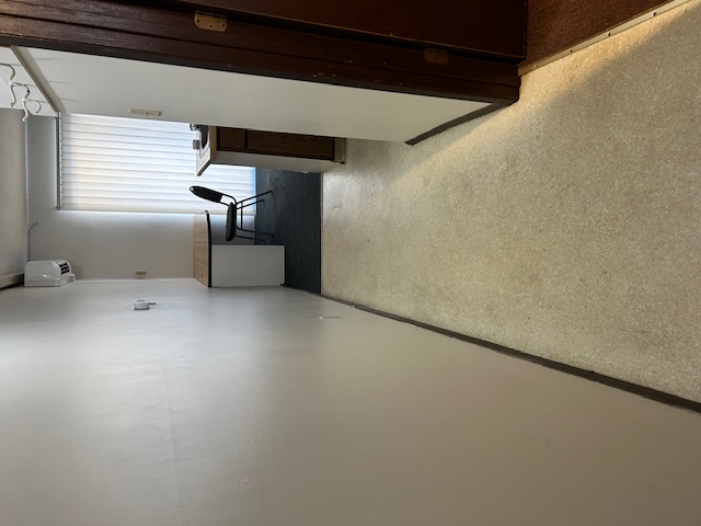 1004 West Springfield Avenue - 10