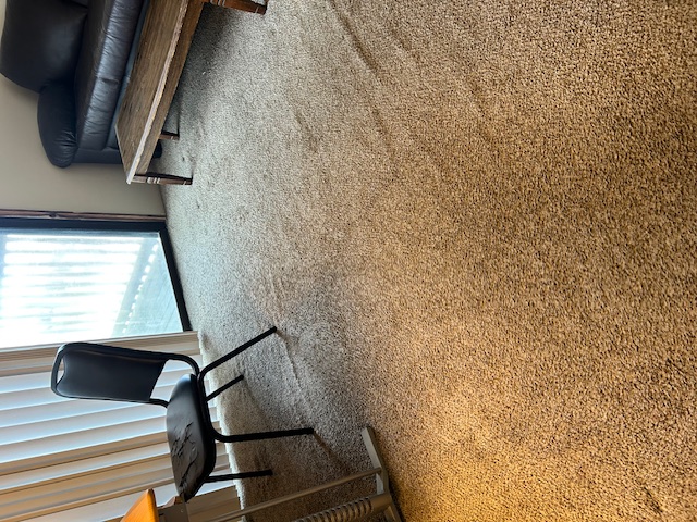 1004 West Springfield Avenue - 10