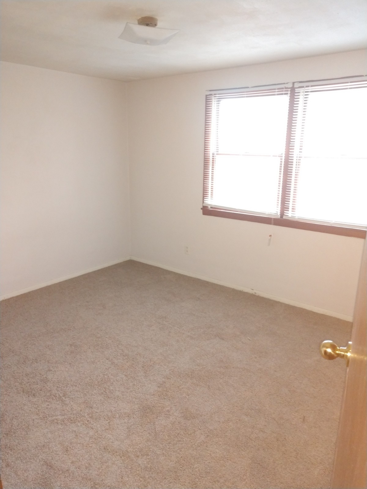 403 Ellen - 5